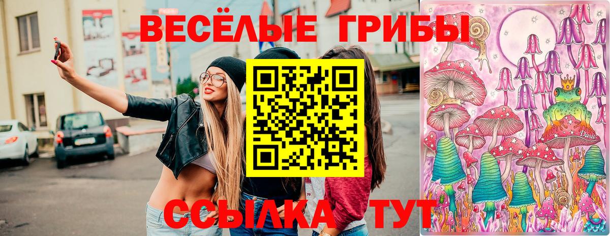 Родники  Галлюциногенные грибы Psilocybe  Вход с VPN 